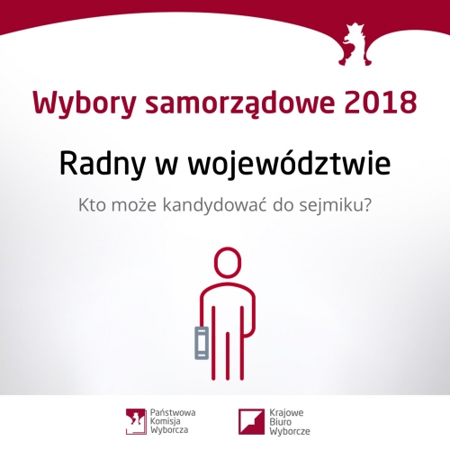 Radny w województwie: jak kandydować?